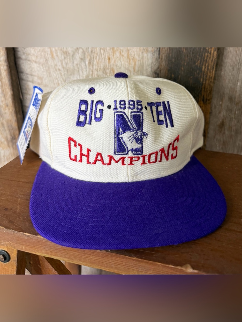 VTG NWT 90s Northwestern Wildcats Big Ten Champions Snapback Hat Cap Wool Blend